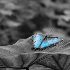 Honest (Produced by. johnsavagebeats)