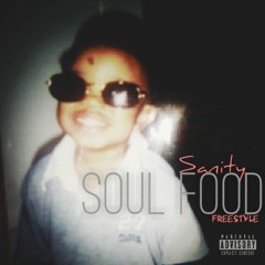 Sanity - Soulfoodremix Final
