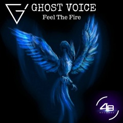 Ghost Voice Neverending Falls OUT ON 48 RECORDS