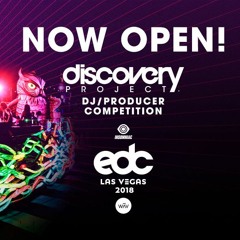 Austin Pettit - Discovery Project: EDC Las Vegas