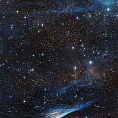 XPERIENCE💊(CHILL AND $OMEWHAT IGNORANT, NEVERTHELESS VIBEY AF)