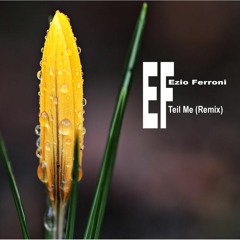 TeilMe (Remix) EF Ezio Ferroni