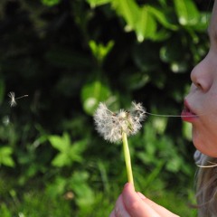 Wunderbarer Hirt Ps.23