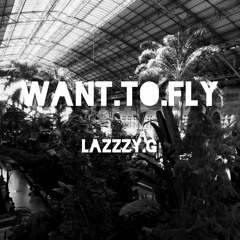 'Want to fly'
