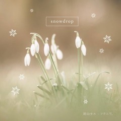 【M3-2018春】snowdrop XFD