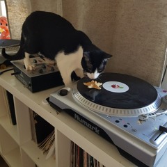 Kash - Vinyl Mix Fontanka 92