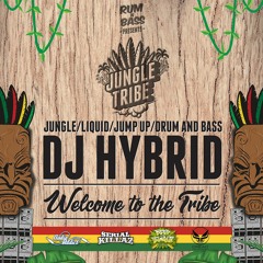 Jungle Tribe Promo Mix - DJ Hybrid