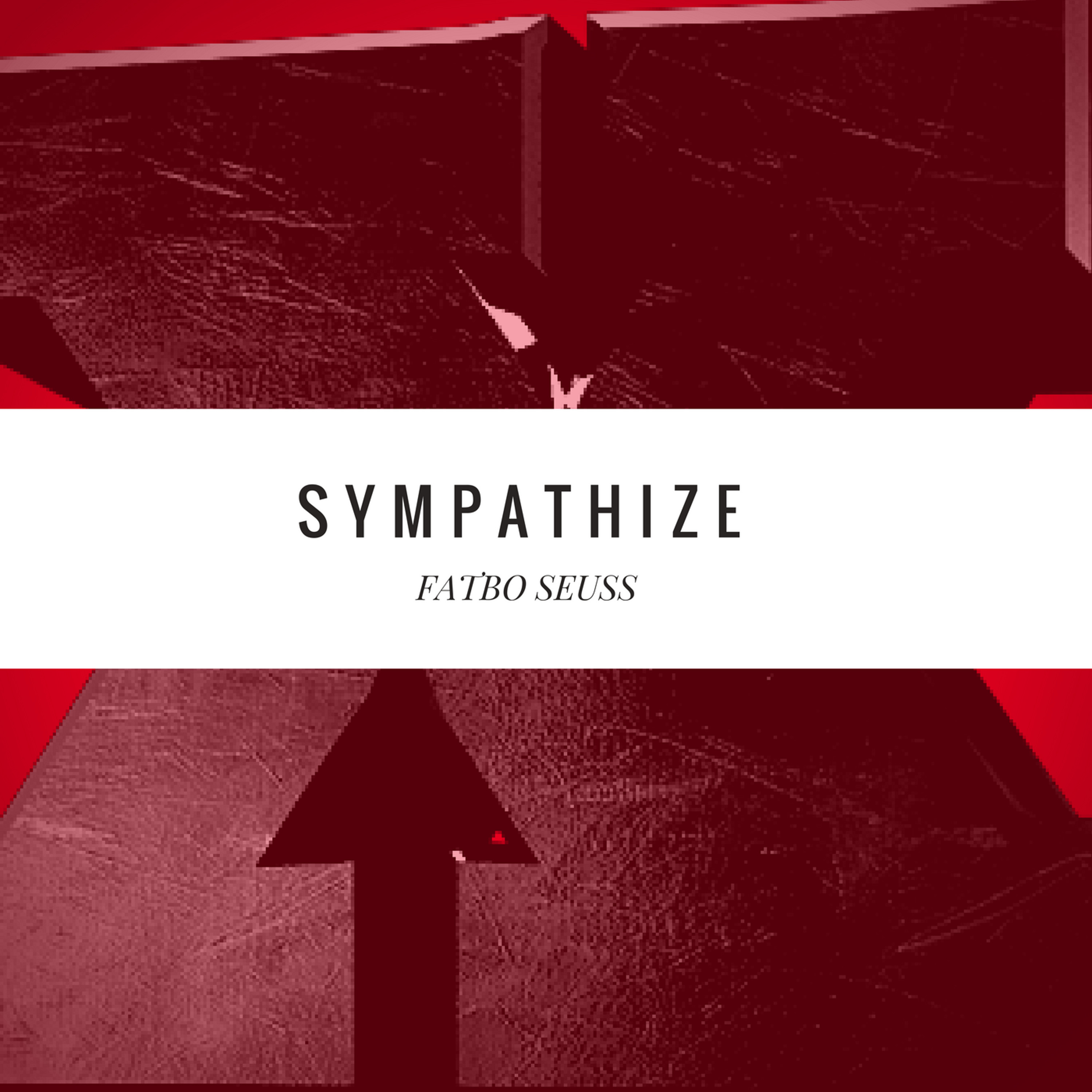 05 SYMPATHIZE episode artwork