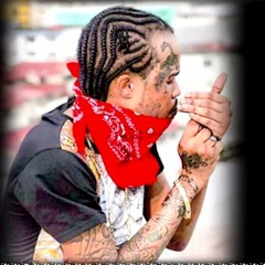 Tommy Lee Sparta - Sparta Dawg Dem (FAST) DJDanymix12