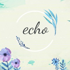 Hidden in the sand(ECHO Remix)