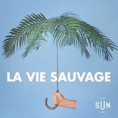 Salut, écoute-moi à la radio : www.mixcloud.com/laviesauvage