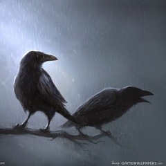 The Rain
