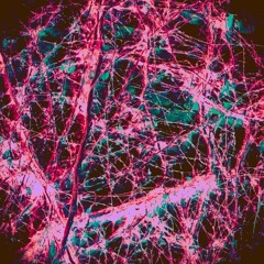 toa$ti tapes vol 00.50