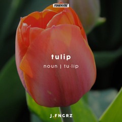 tulip