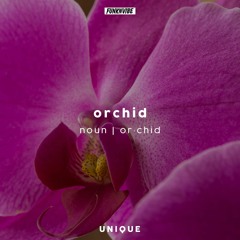orchid