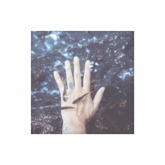CYH - fish.