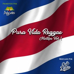 Pura Vida Reggae Vol. 1 por Selecta Gab &  Selecta Jahmrock para PelagatosCR (2018)