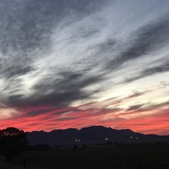 Fudasca & Teqkoi- Why (feat. Thomas Reid)