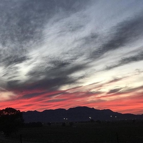 Fudasca & Teqkoi- Why (feat. Thomas Reid)