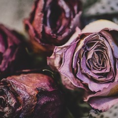 Hopeless (Prod By R E T R O 1)