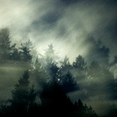 POLARIS