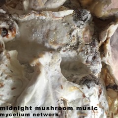 Mycelium Music