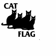 Gimme Gimme Gimme (Black Flag cover)