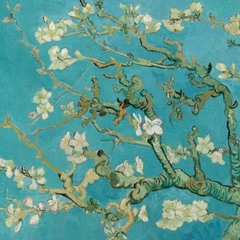 Incolor (Part. Maite)