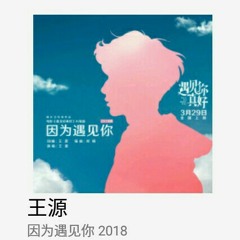 因为遇见你 2018 - 王源.mp3