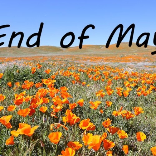 End Of May - Michael Buble (Ben Callahan Cover)