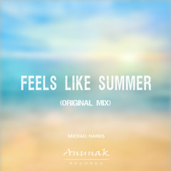 Feels Like Summer (Original Mix)