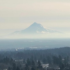 When You're Smiling And Astride Me - Father John Misty cover