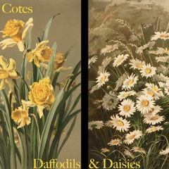 Cotes - Daffodils & Daises(Prod. Fuji)