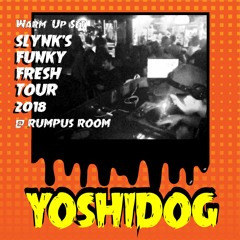 Warm Up Set Slynk's Funky Fresh Tour 2018 @Rumpus Room