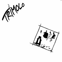 "Tempo 100" On Trimolo LP - Molomusic Germany, 1988 - SOLD