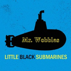 Little Black Submarines - The Black Keys (Cover)