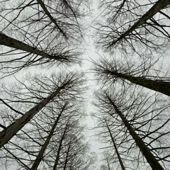 Safe (cover) by Hillsong