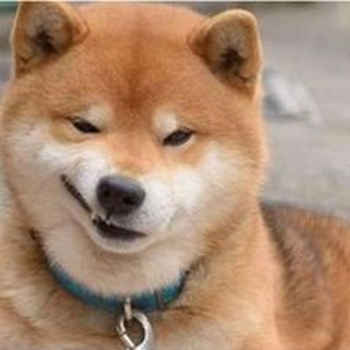 Dugem Anjing Kacili 2018 Tik Tok Super Mantap Jiwa Dj Remix 2018