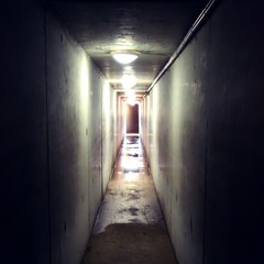 Love On The Nightshift