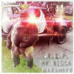 D.O.F.H (R.I.P MY NIGGA HARAMBE/CINCINNATI ZOO DISS) Prod. The Wild Dutchman