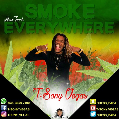 T-Sony Vegas - Smoke everywhere.mp3