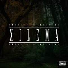 Xilema - Vila Cruzeiro [IMPACTO AMBIENTAL EP]