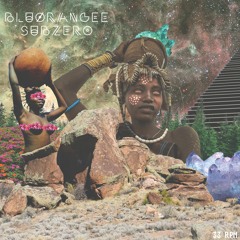 bluørangee - Subzero EP(vinyl Rip)