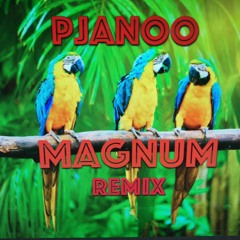 Pjanoo Magnun Summer Mashup-Remix