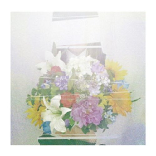 Stream Cineraria Listen To ヨルシカ 1st Mini Album 夏草が邪魔をする Playlist Online For Free On Soundcloud