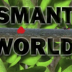 Smant World (Loop)