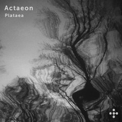 Actaeon - Plataea EP [PM041]