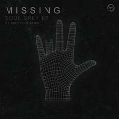Missing - Community Assault
