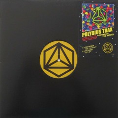 SPLIT PROJECT 2 (POSTHUMAN : THE MODEL) (Polybius Trax 06)