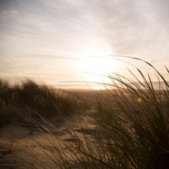 Walking on the beach